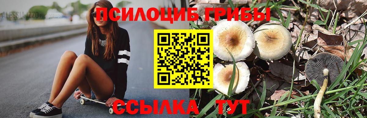 Павловский Посад  Галлюциногенные грибы прущие грибы  Вход с VPN 